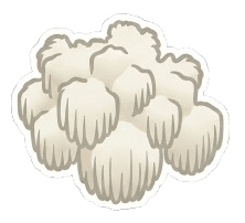 Coral Tooth (Hericium coralloides)