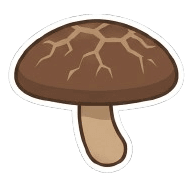 Shiitake (Twardnik Jadalny) (Lentinula edodes)