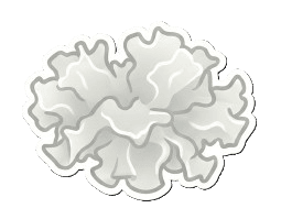 Tremella (Tremella fuciformis)